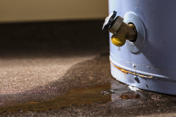 Best Commercial water damage restoration  in Lumbine Valley, CO