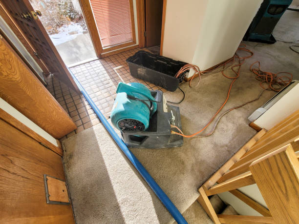 Carpet water damage restoration in CO