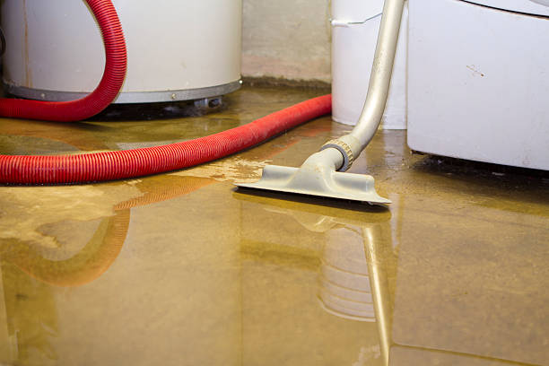 Best Sewage cleanup and water damage restoration  in Lumbine Valley, CO
