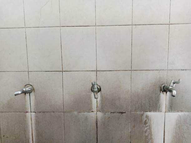 Best Ceiling water damage repair  in Lumbine Valley, CO