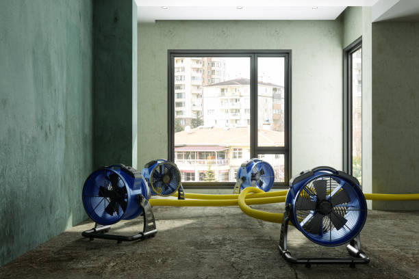 Best Water damage restoration mold remediation  in Lumbine Valley, CO